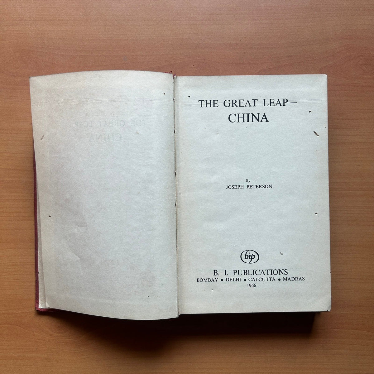 The Great Leap – China - Joseph Peterson image 2