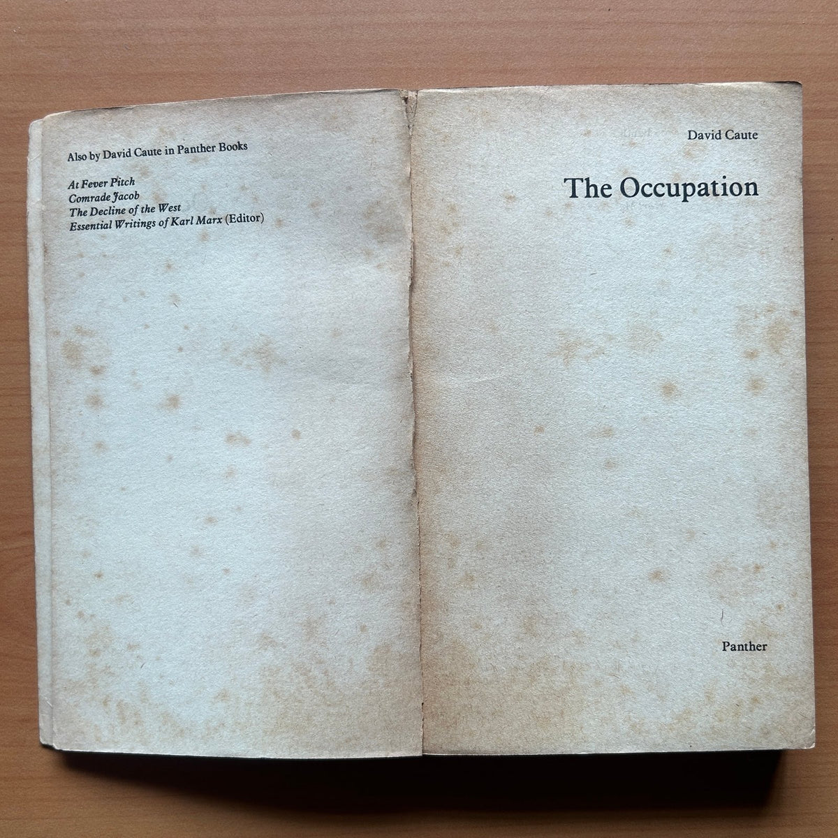 The Occupation  - David Caute image 3