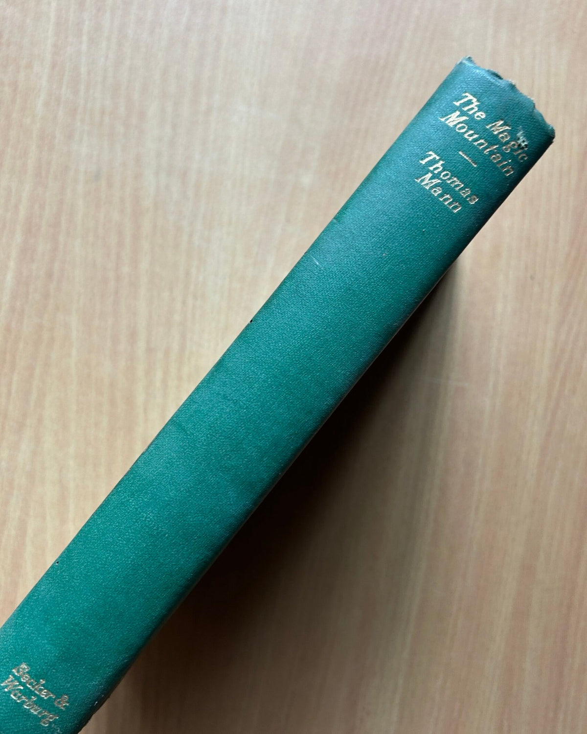 The Magic Mountain  - Thomas Mann image 1