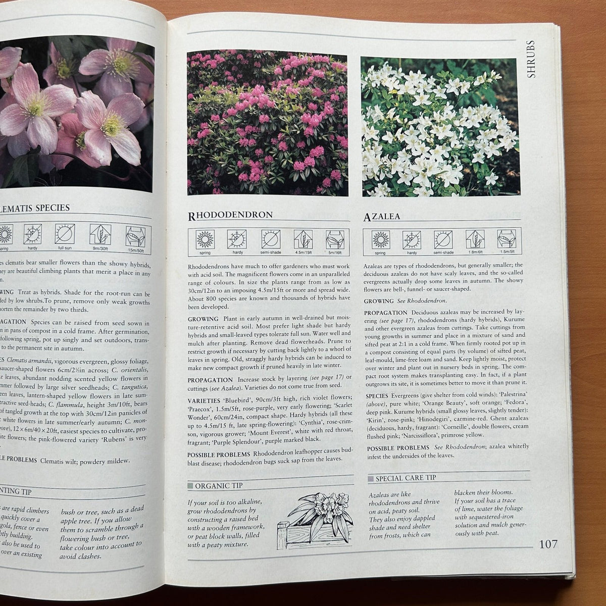 Hamlyn All Colour Plant Directory image 11