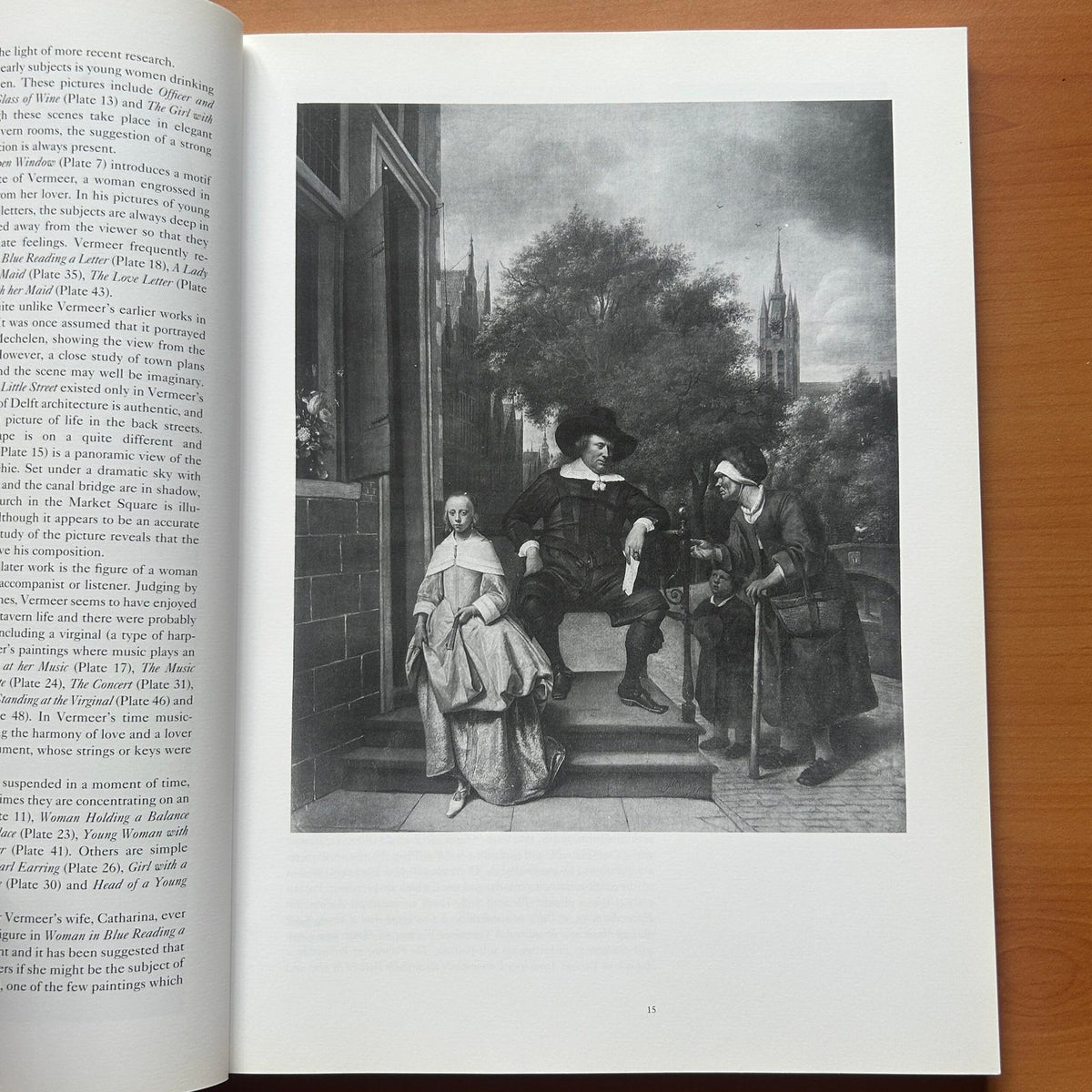 Vermeer  -  Martin Bailey image 6