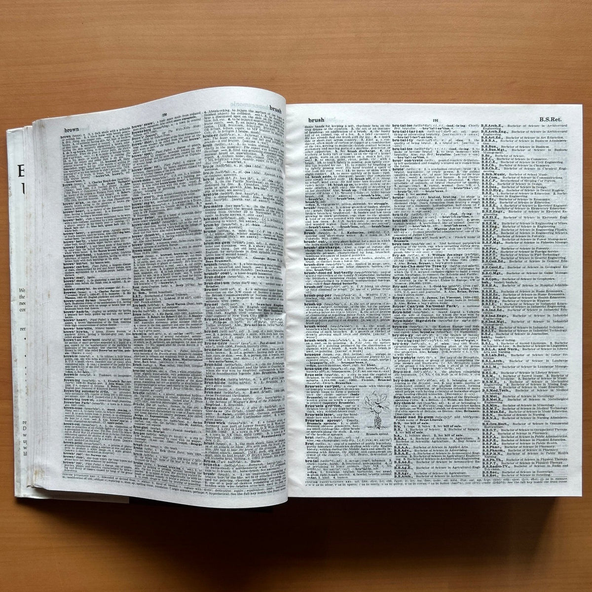 Webster’s Encyclopedic Unabridged Dictionary image 5