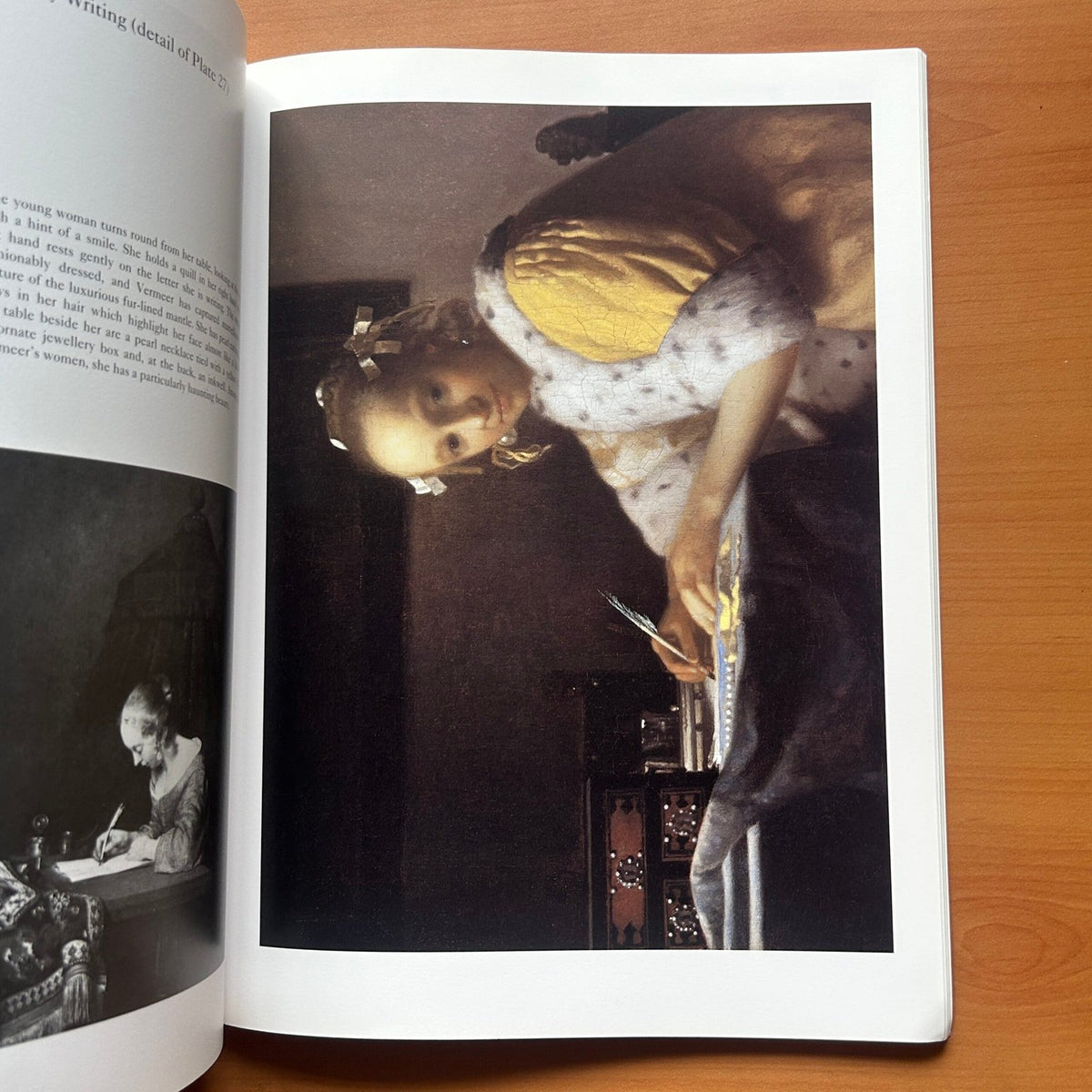 Vermeer  -  Martin Bailey image 9