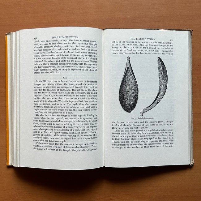 The Nuer: A Description of the Modes of Livelihood and Political Institutions of a Nilotic People  - E. E. Evans-Pritchard image 11