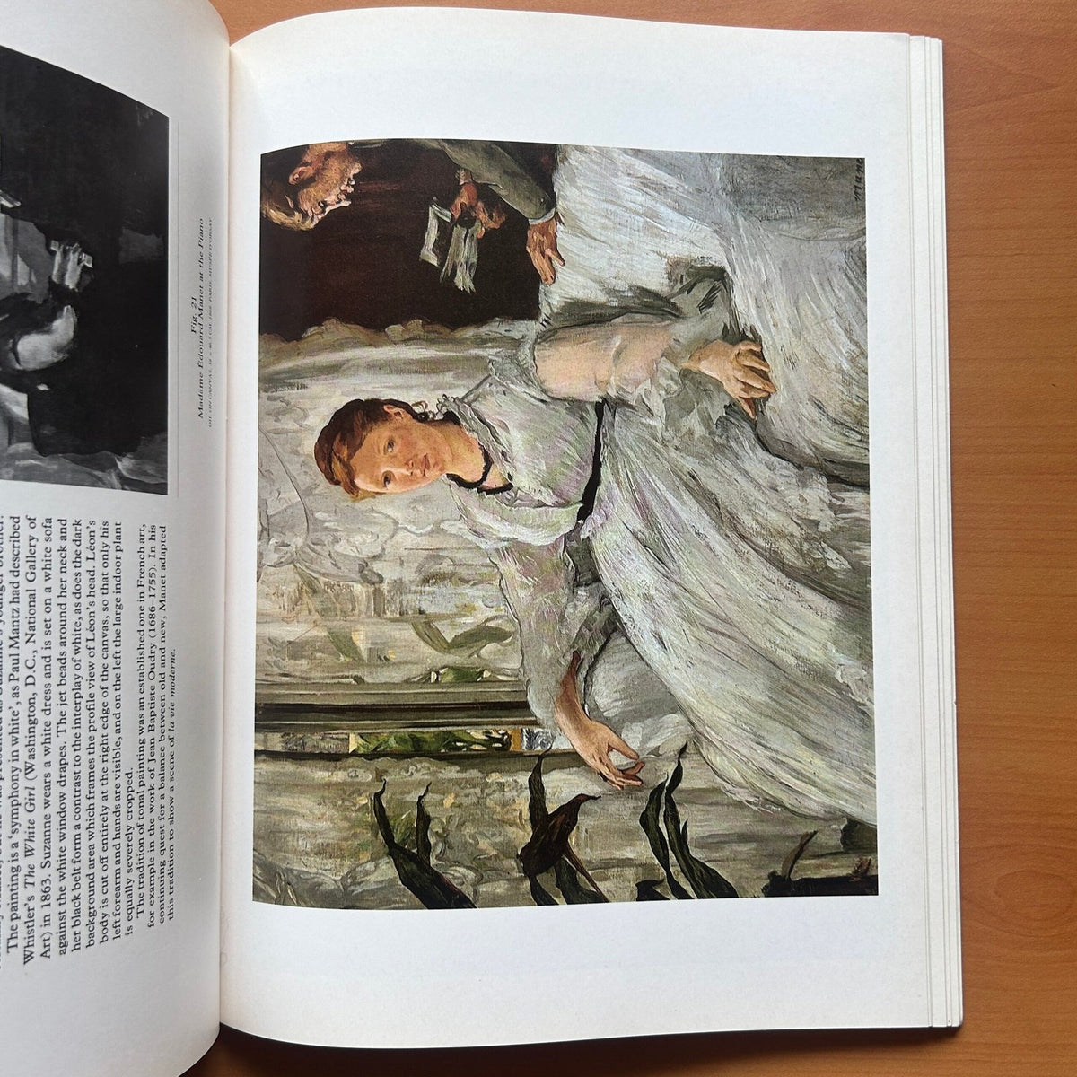 Manet  - John Richardson image 10