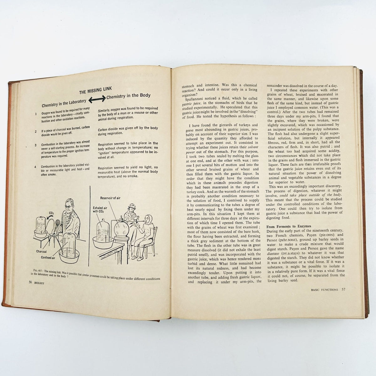 BIOLOGY: AN INQUIRY INTO LIFE (2 Volume Set) image 9