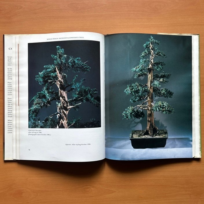 Bonsai Design: Deciduous and Coniferous Trees -  Peter D. Adams image 9