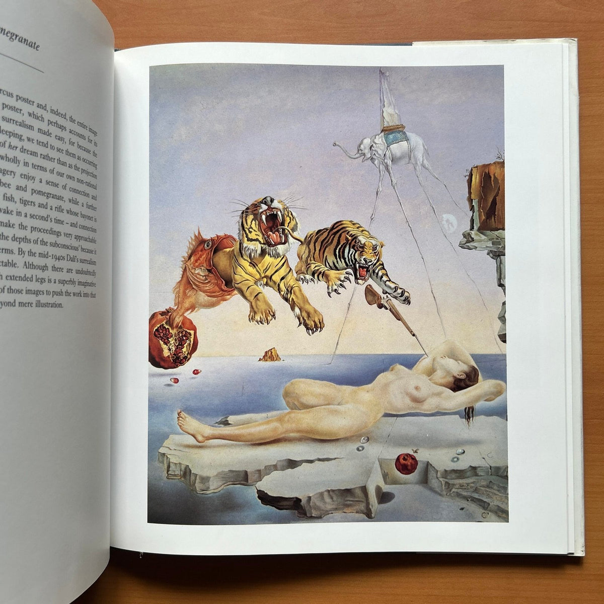 Dalí – The Masterworks  -  Eric Shanes image 6