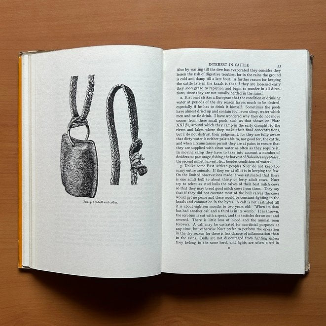 The Nuer: A Description of the Modes of Livelihood and Political Institutions of a Nilotic People  - E. E. Evans-Pritchard image 6