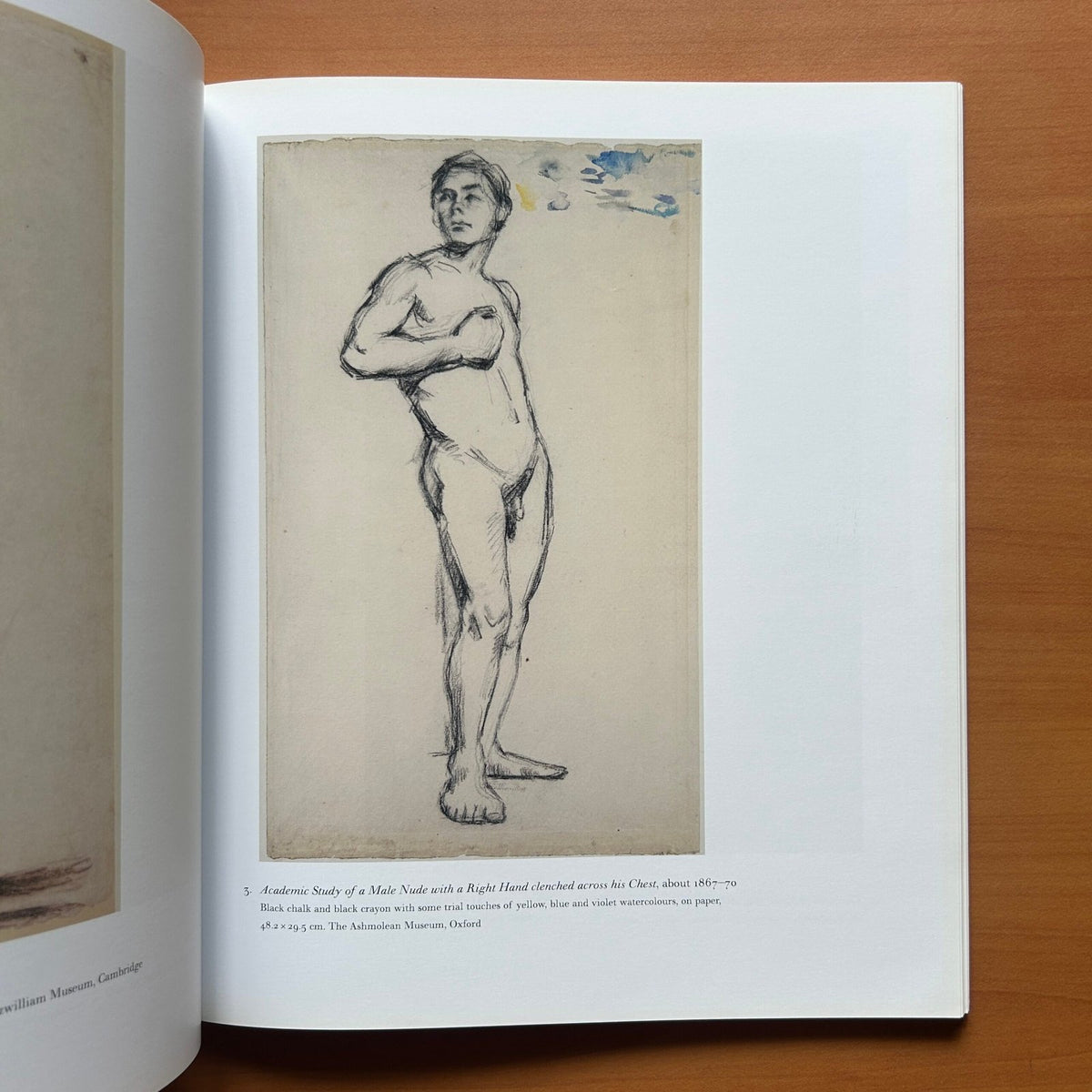 Cézanne in Britain  -  Anne Robbins image 12