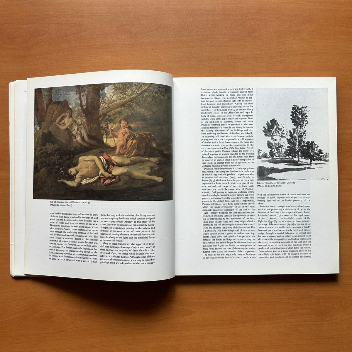 Cézanne and Poussin: The Classical Vision of Landscape  -  Richard Verdi image 8