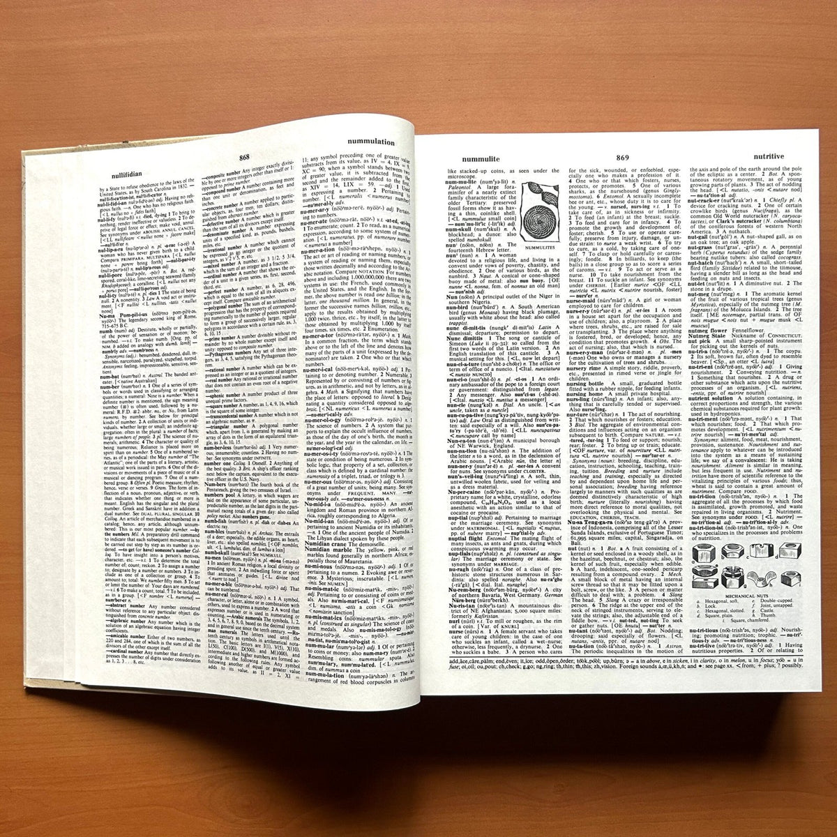 Webster Comprehensive Dictionary (2 Volumes Set) image 10