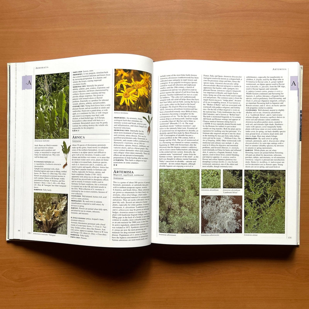 Encyclopedia of Herbs - Deni Bown image 9