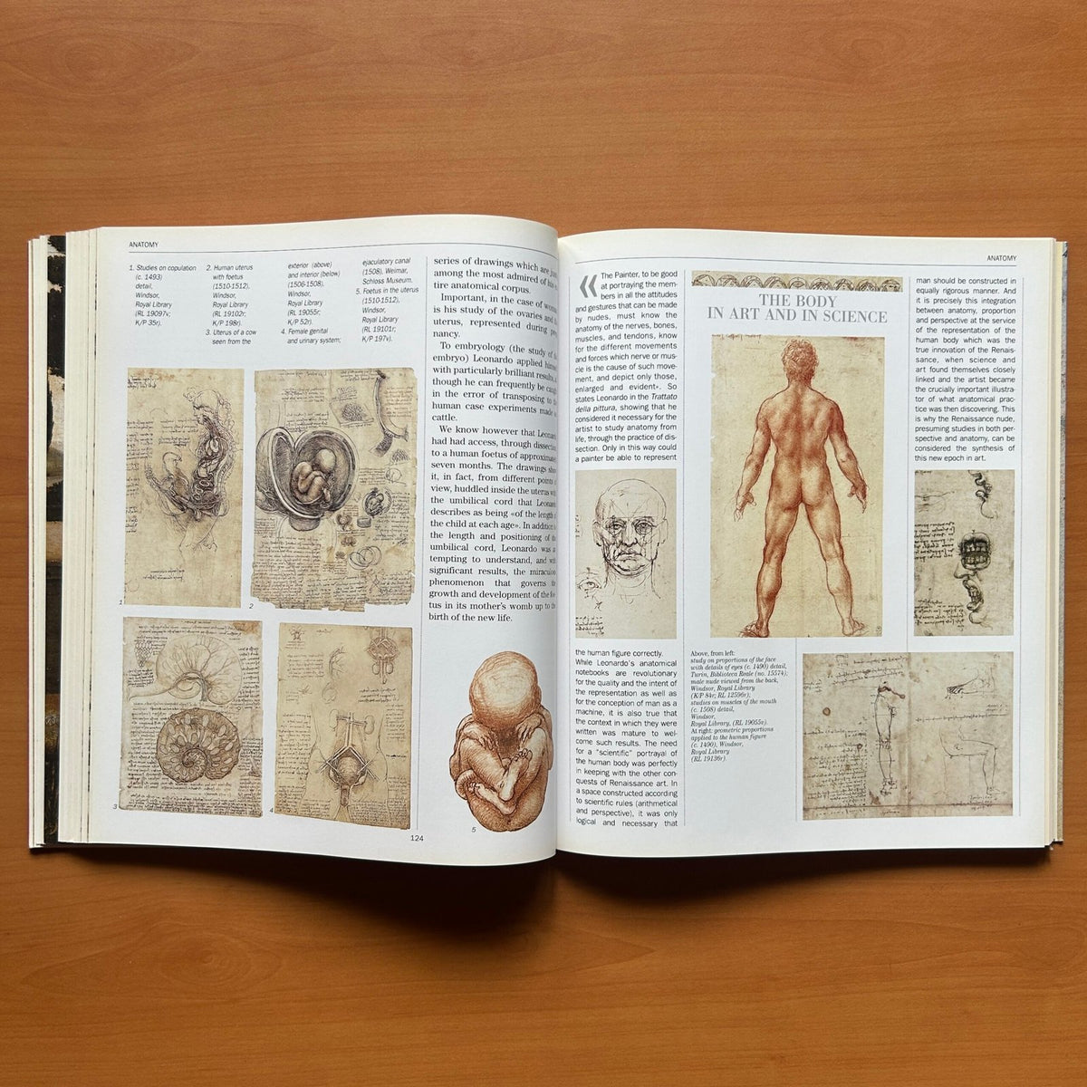 Leonardo da Vinci -  Carlo Pedretti image 17