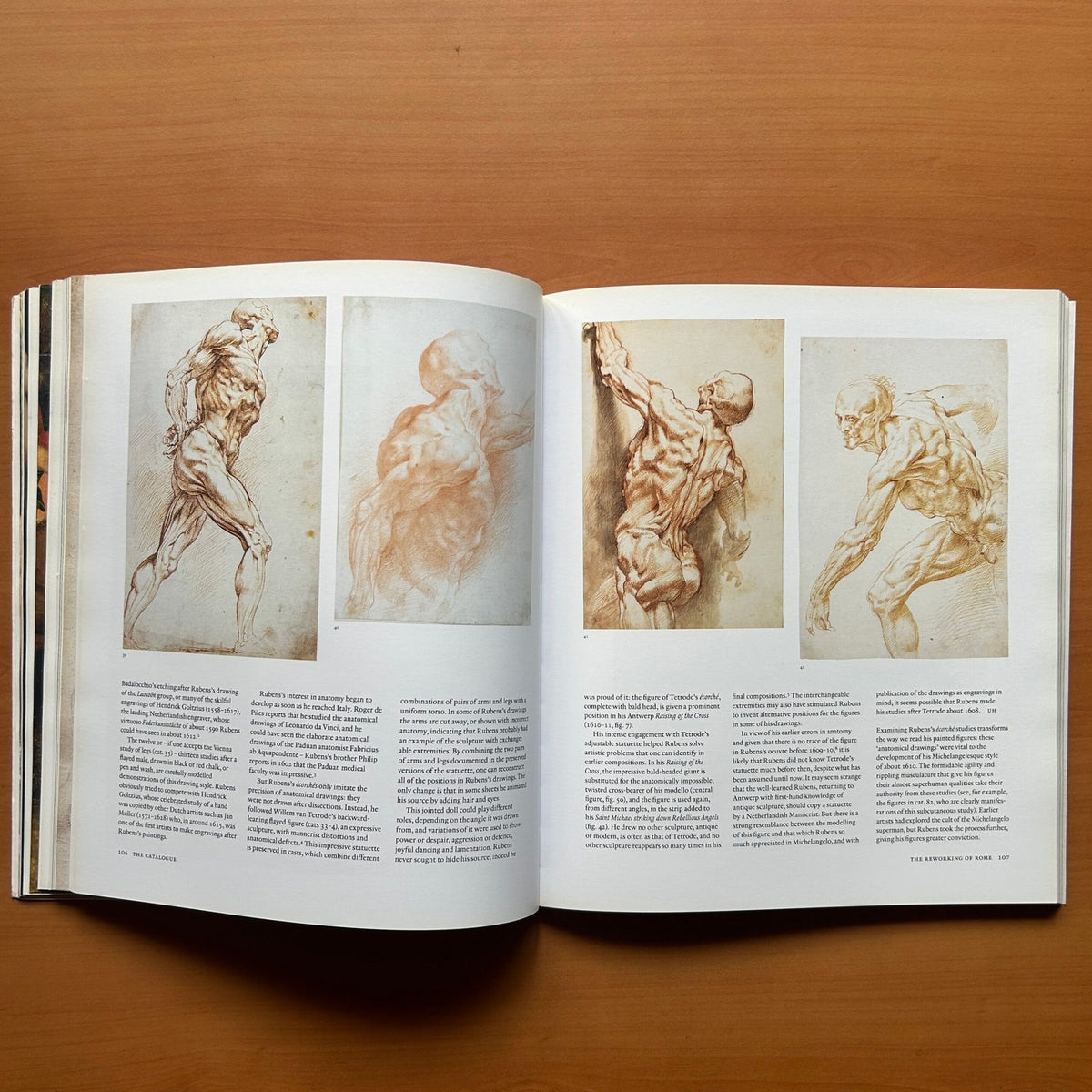 Rubens: A Master in the Making image 12
