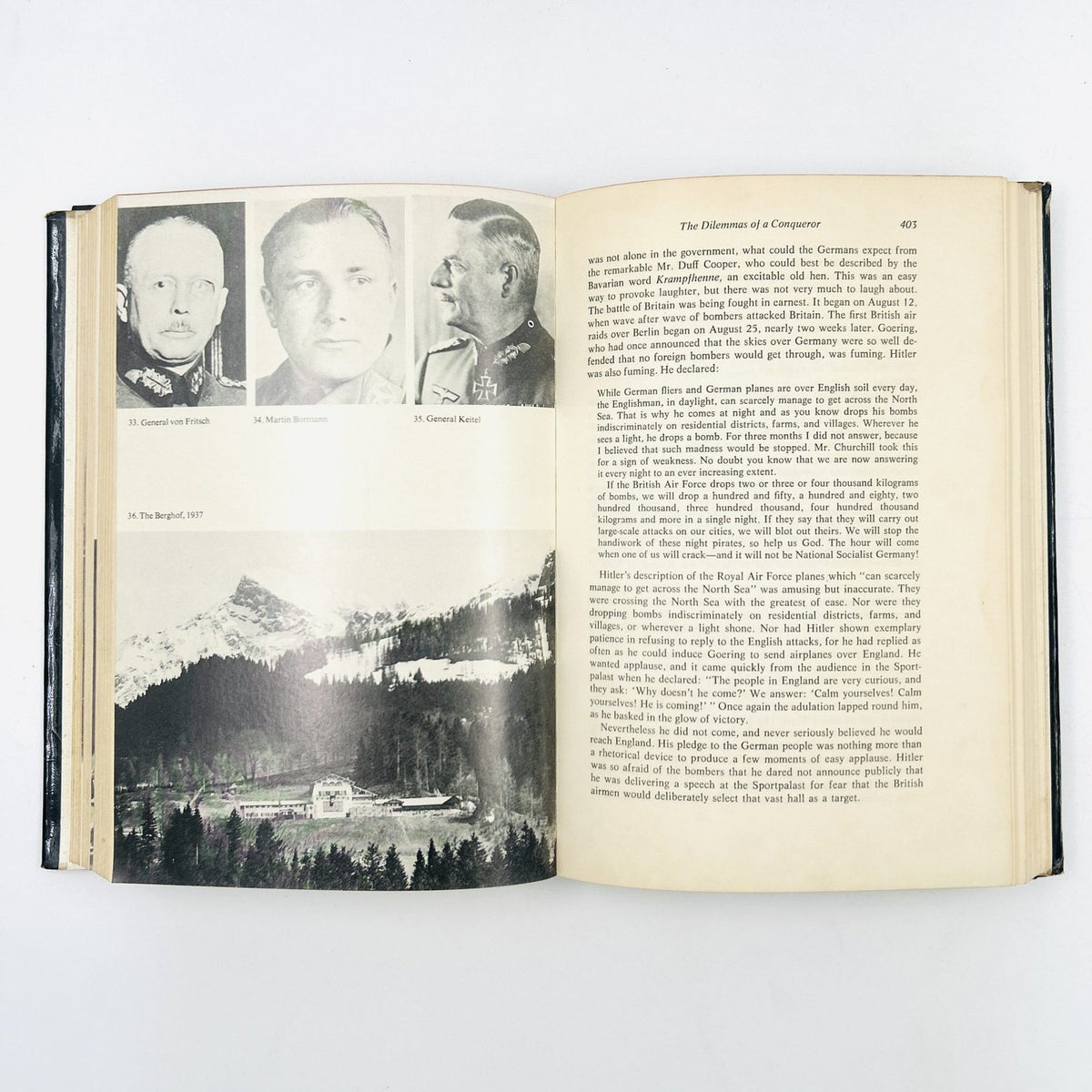 The Life and Death of Adolf Hitler image 11