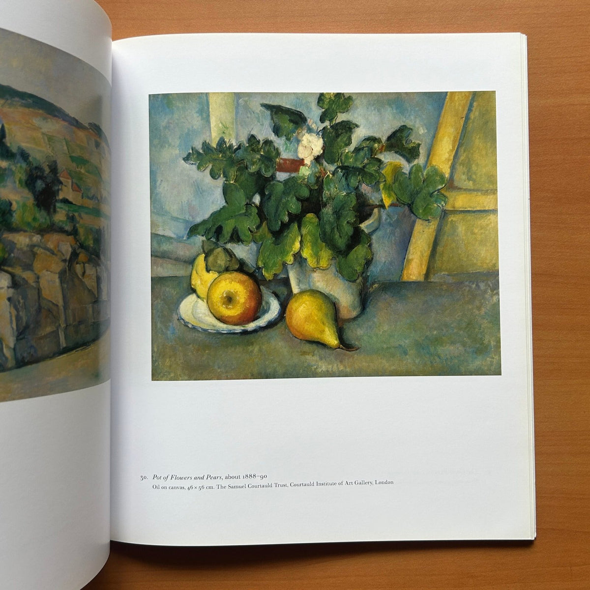 Cézanne in Britain  -  Anne Robbins image 7