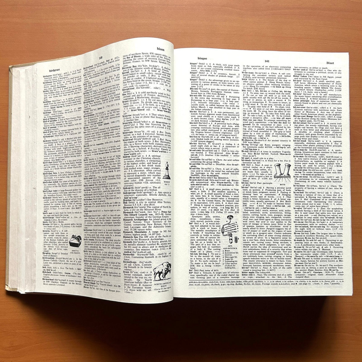 Webster Comprehensive Dictionary (2 Volumes Set) image 5