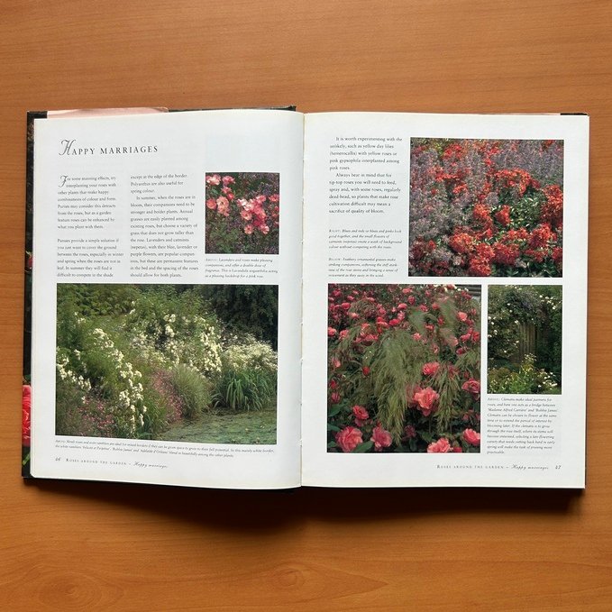 The Ultimate Rose Book  -  Peter McHoy image 5