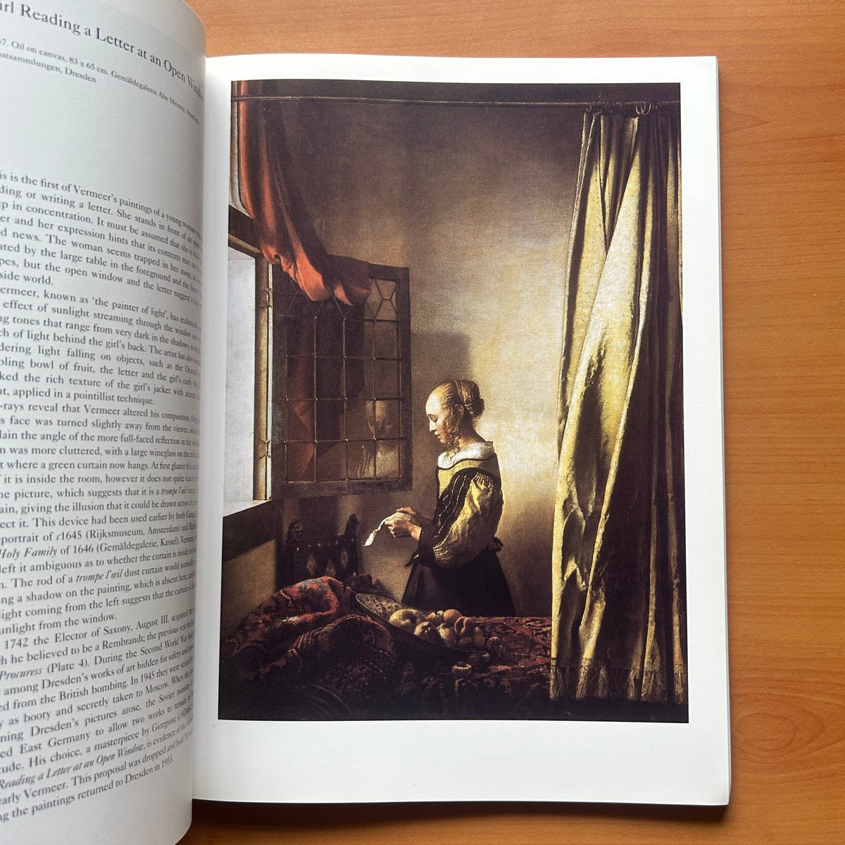 Vermeer  -  Martin Bailey image 13