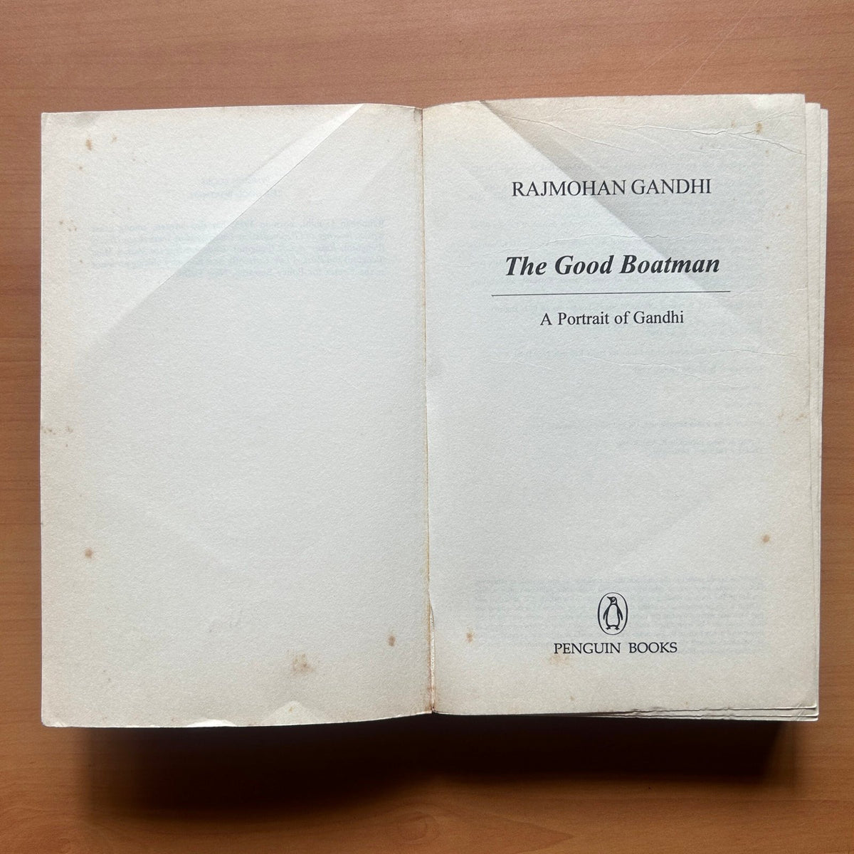 The Good Boatman  -  Rajmohan Gandhi image 1