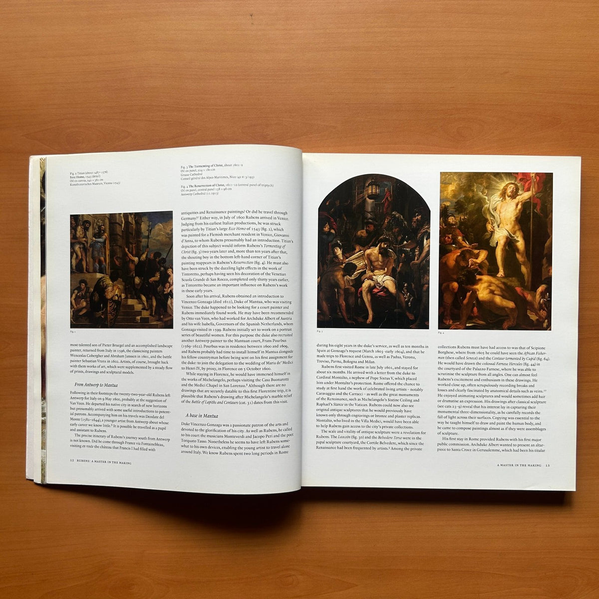 Rubens: A Master in the Making image 6