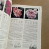 Polyan Monard Double Ipheior Thyme HAMLYN ALL COLOUR - Image 6