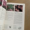 Polyan Monard Double Ipheior Thyme HAMLYN ALL COLOUR - Image 7