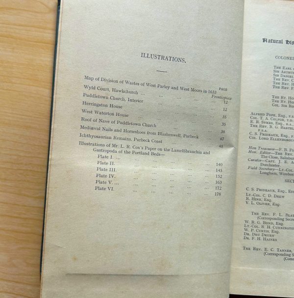 PROCEEDINGS OF THE DORSET NATURAL HISTORY AND ARCHAEOLOGICAL SOCIETY - Image 7
