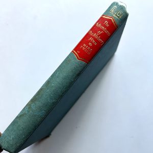 THE ADVENTURES OF HUCKLEBERRY FINN BY MARK TWAIN