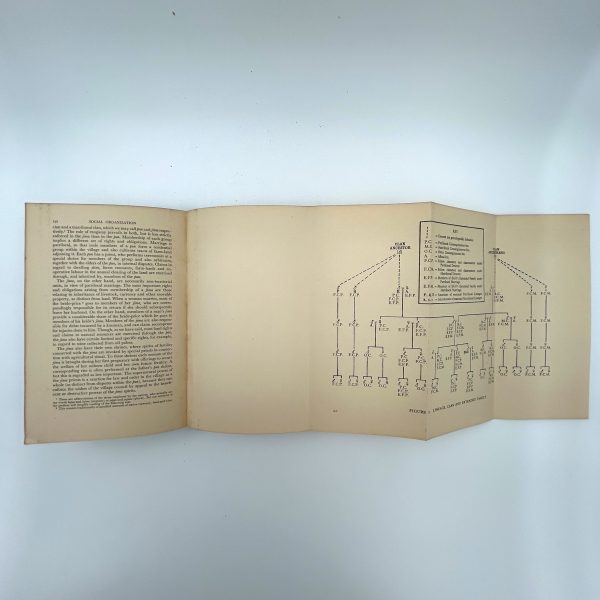 SOCIAL ANTHROPOLOGY BY RALPH PIDDINGTON - Image 9