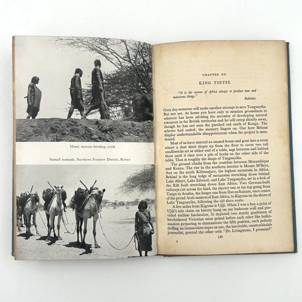 AFRICA ON A TIGHTROPE BY HENRY GIBBS - Image 10