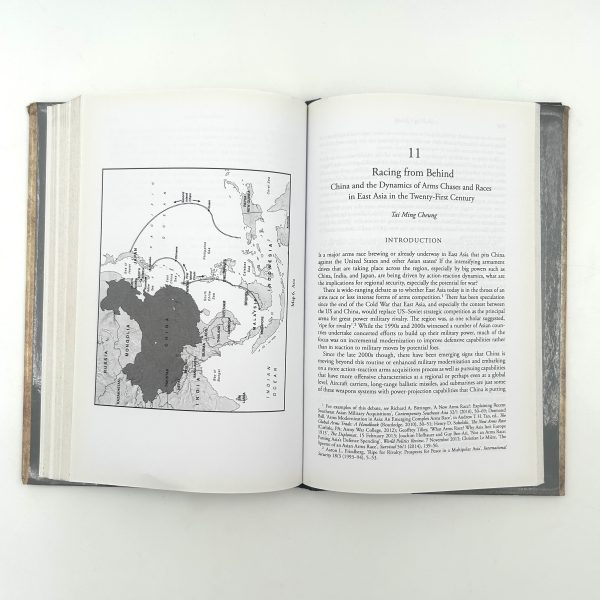 Arms Races in International Politics: From the Nineteenth to the Twenty-First Century by Thomas Mahnken, Joseph Maiolo, and David Stevenson - Image 10