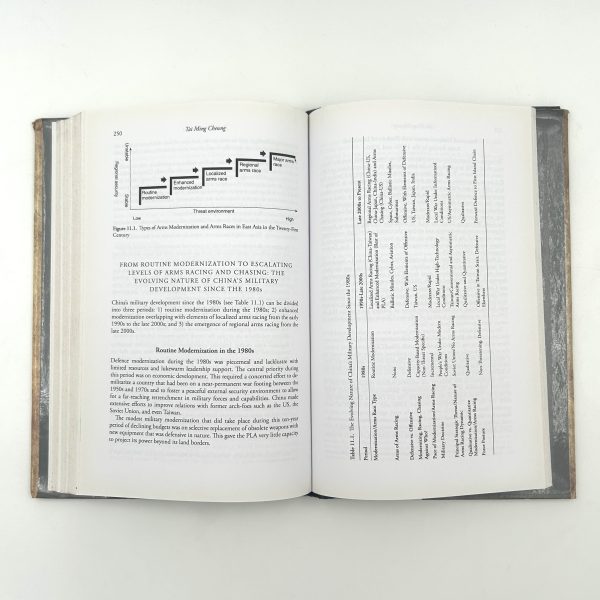 Arms Races in International Politics: From the Nineteenth to the Twenty-First Century by Thomas Mahnken, Joseph Maiolo, and David Stevenson - Image 11