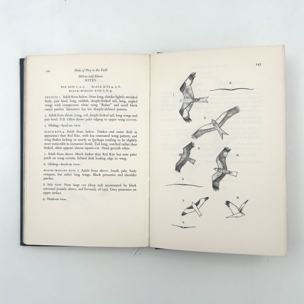 Birds of Prey in the Field by Roger Harkness & Colin Murdoch - Image 11