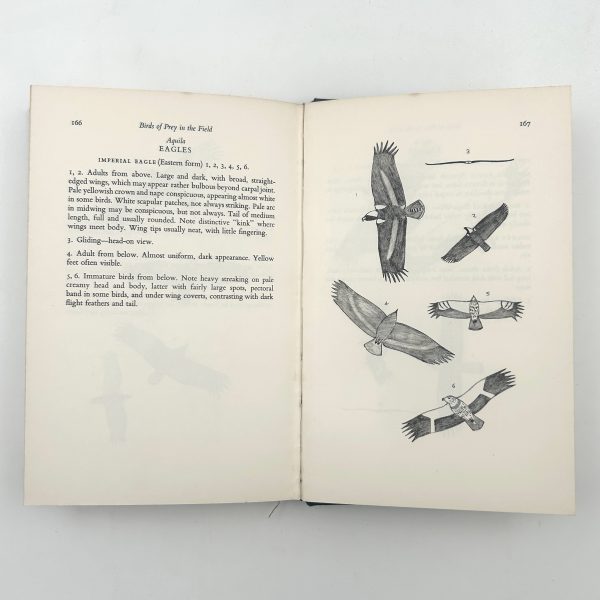 Birds of Prey in the Field by Roger Harkness & Colin Murdoch - Image 12