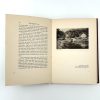 The English Scene - Image 10