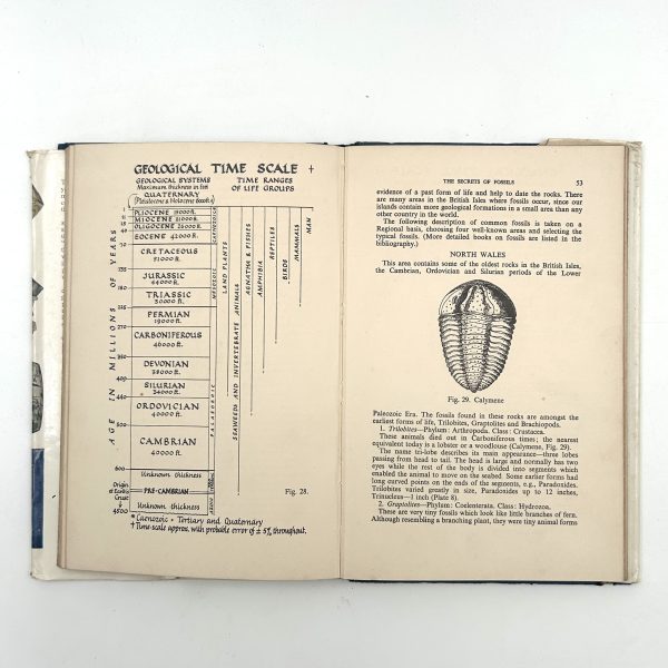 Geology for the Young Naturalist By Allen White - Image 10