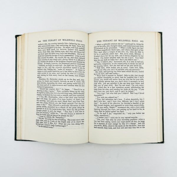 The Tenant of Wildfell Hall - Image 7