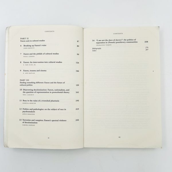 Frantz Fanon – Critical Perspectives - Image 6