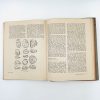 BIOLOGY: AN INQUIRY INTO LIFE (2 Volume Set) - Image 13