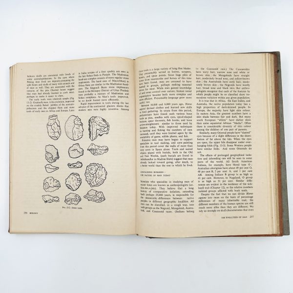 BIOLOGY: AN INQUIRY INTO LIFE (2 Volume Set) - Image 13