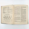BIOLOGY: AN INQUIRY INTO LIFE (2 Volume Set) - Image 19