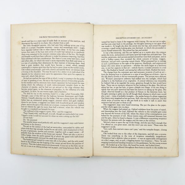 FAR FROM THE MADDING CROWD by Thomas Hardy - Image 7