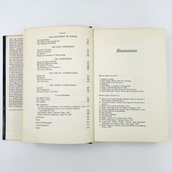The Life and Death of Adolf Hitler - Image 7