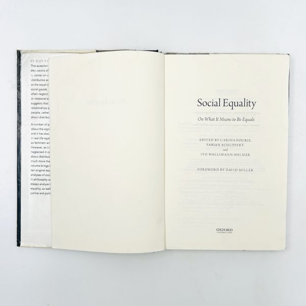 Social Equality – On What It Means to Be Equals - Image 4