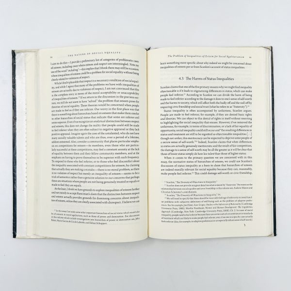 Social Equality – On What It Means to Be Equals - Image 7