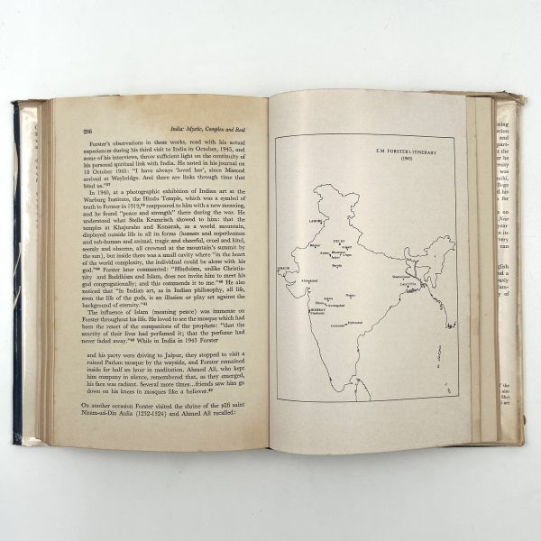 India: Mystic, Complex, and Real by Adwaita P. Ganguly - Image 11