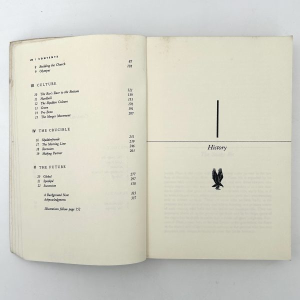 Skadden by Lincoln Caplan - Image 7