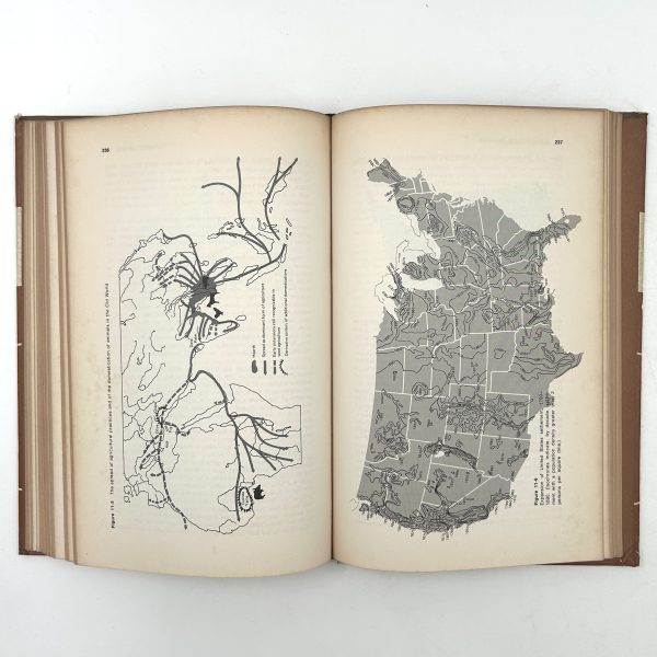 The Geography of Movement By Lowe Moryadas - Image 11
